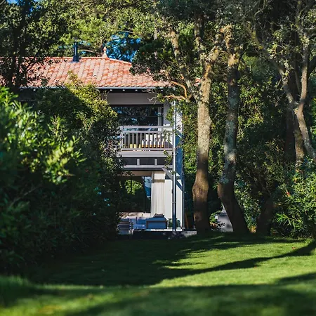 Forest Villa *